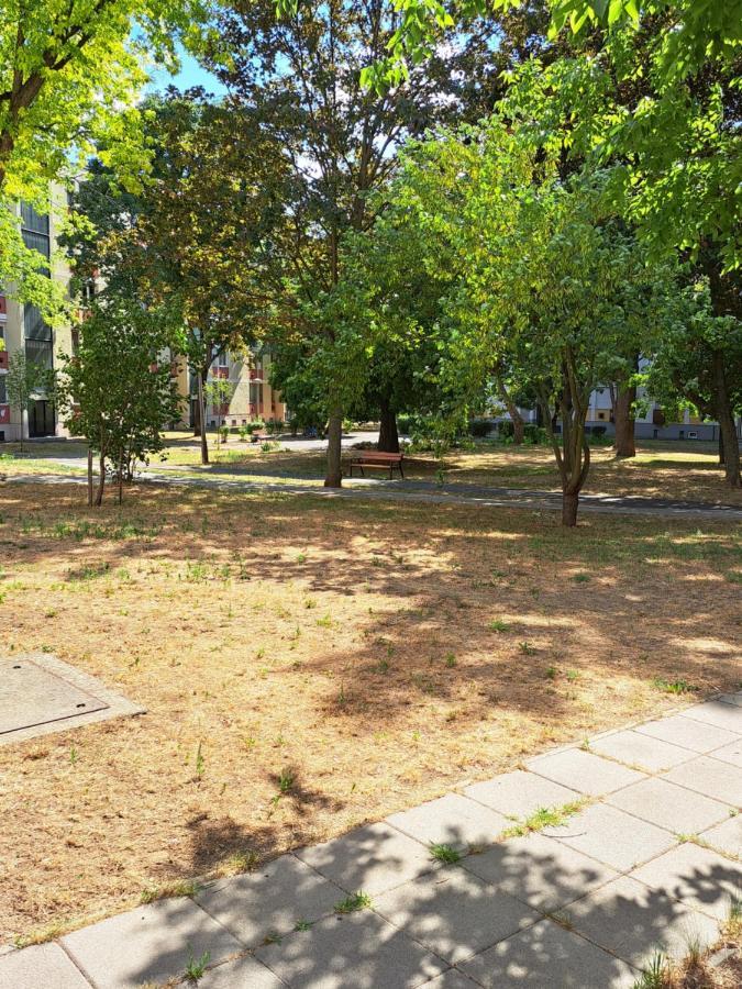 Wanderer Station Apartment Debrecen Luaran gambar